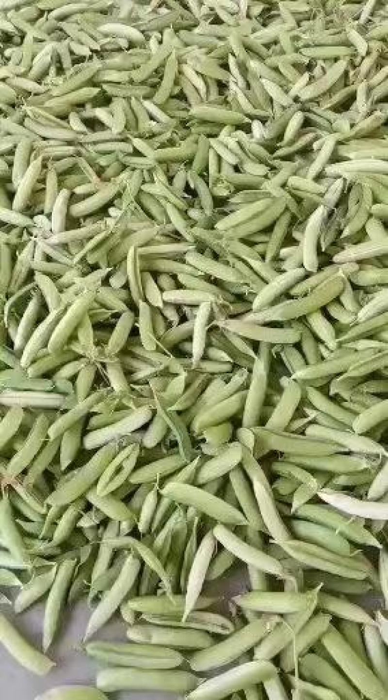 豌豆豌豆荚青豌豆麦豆壳豌豆颗粒饱满