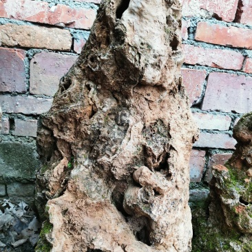 上水石假山石空气净化石