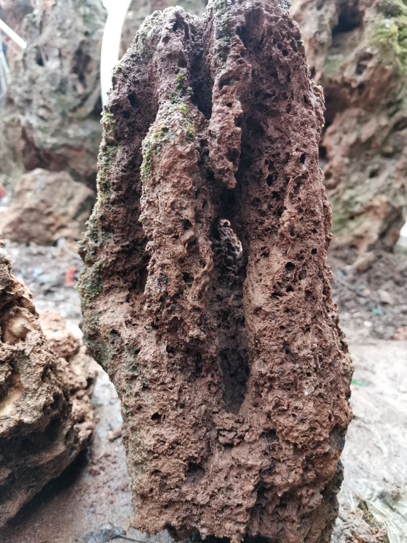 上水石假山石空气净化石