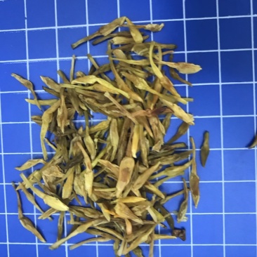 素馨花正品新鲜颜色靓保证质量【包邮】