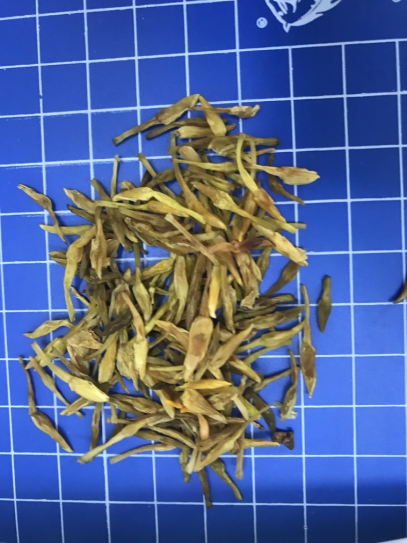 素馨花正品新鲜颜色靓保证质量【包邮】