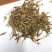 素馨花正品新鲜颜色靓保证质量【包邮】