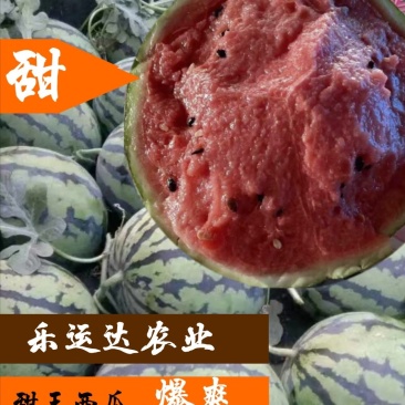 山东甜王西瓜三月下旬大量供应，欢迎前来采购