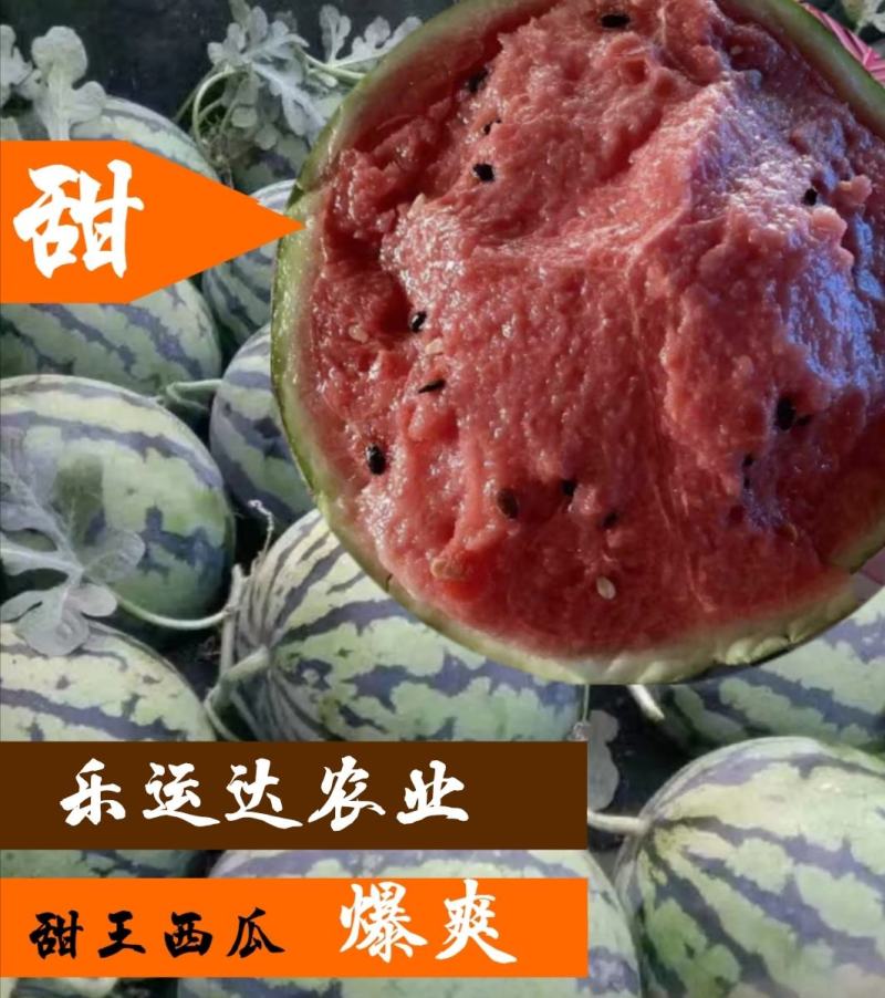 山东甜王西瓜三月下旬大量供应，欢迎前来采购
