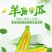 山东潍坊博洋甜瓜产地直供电商市场货，超市