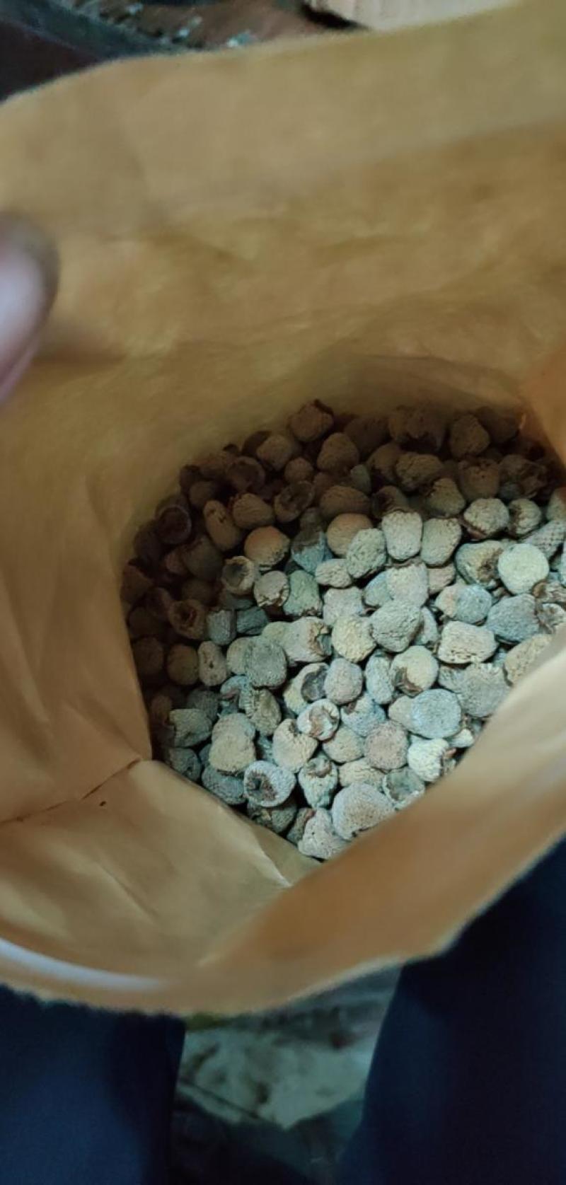 贵州野生覆盆子干货药用当天发货质量保证