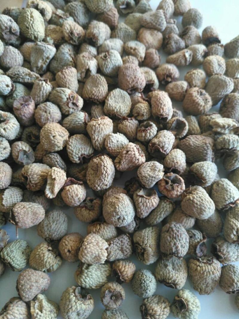 贵州野生覆盆子干货药用当天发货质量保证
