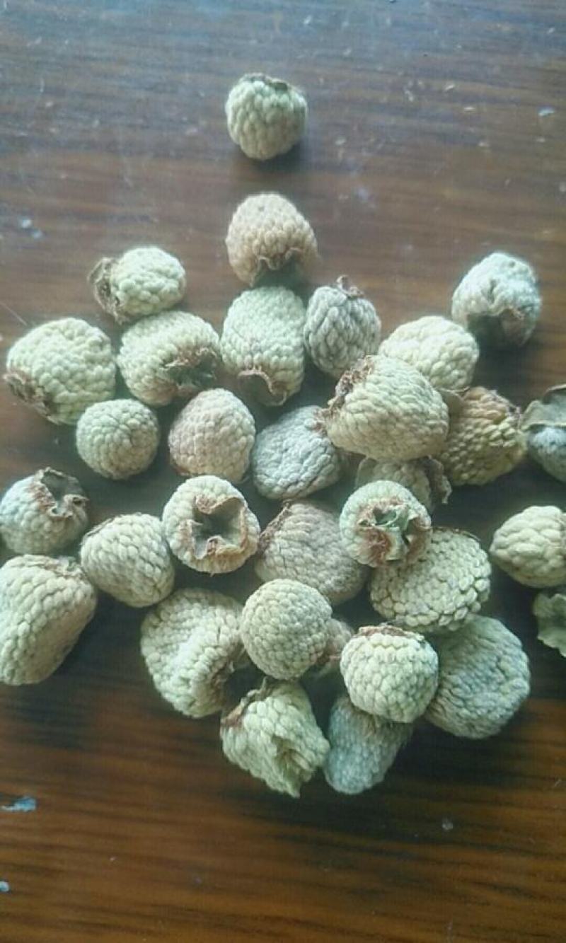 贵州野生覆盆子干货药用当天发货质量保证