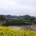 大型乡村运动文旅小镇寻求合作转让