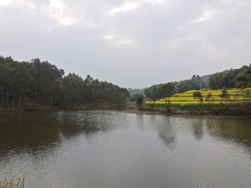 大型乡村运动文旅小镇寻求合作转让