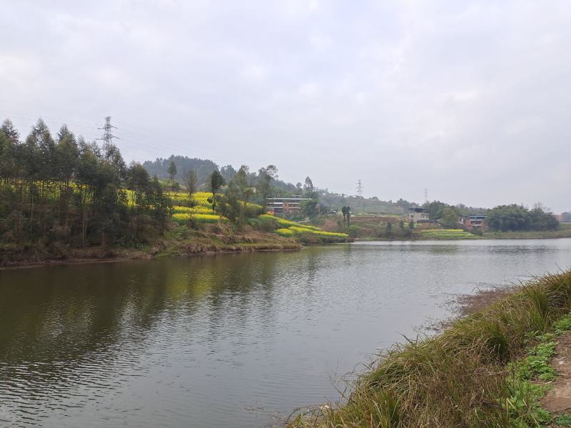 大型乡村运动文旅小镇寻求合作转让