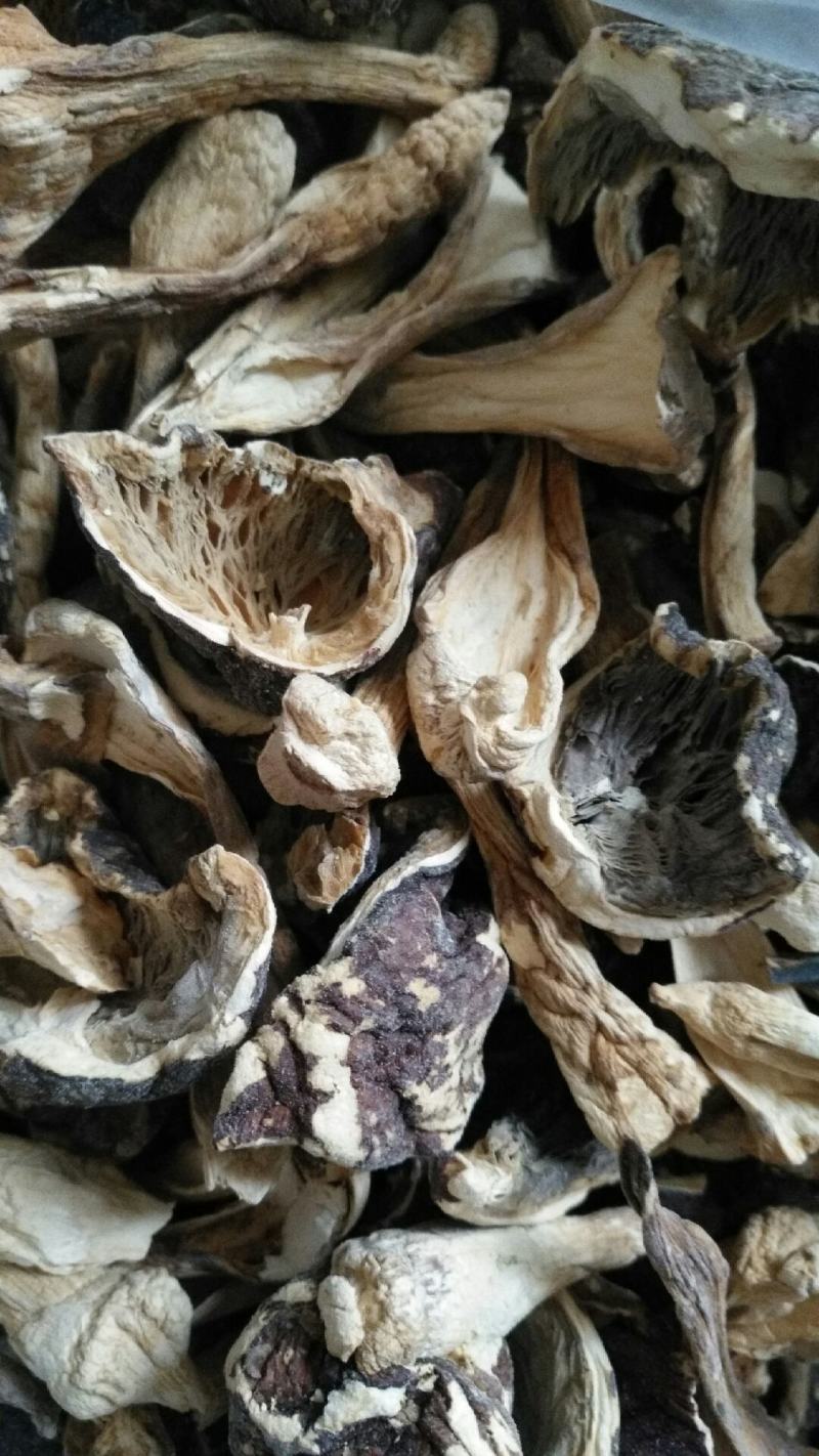 大球盖菇干品亏本清货