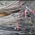 甜脆柿子苗甜脆柿子树苗，适合南北方种植，基地直销三包发