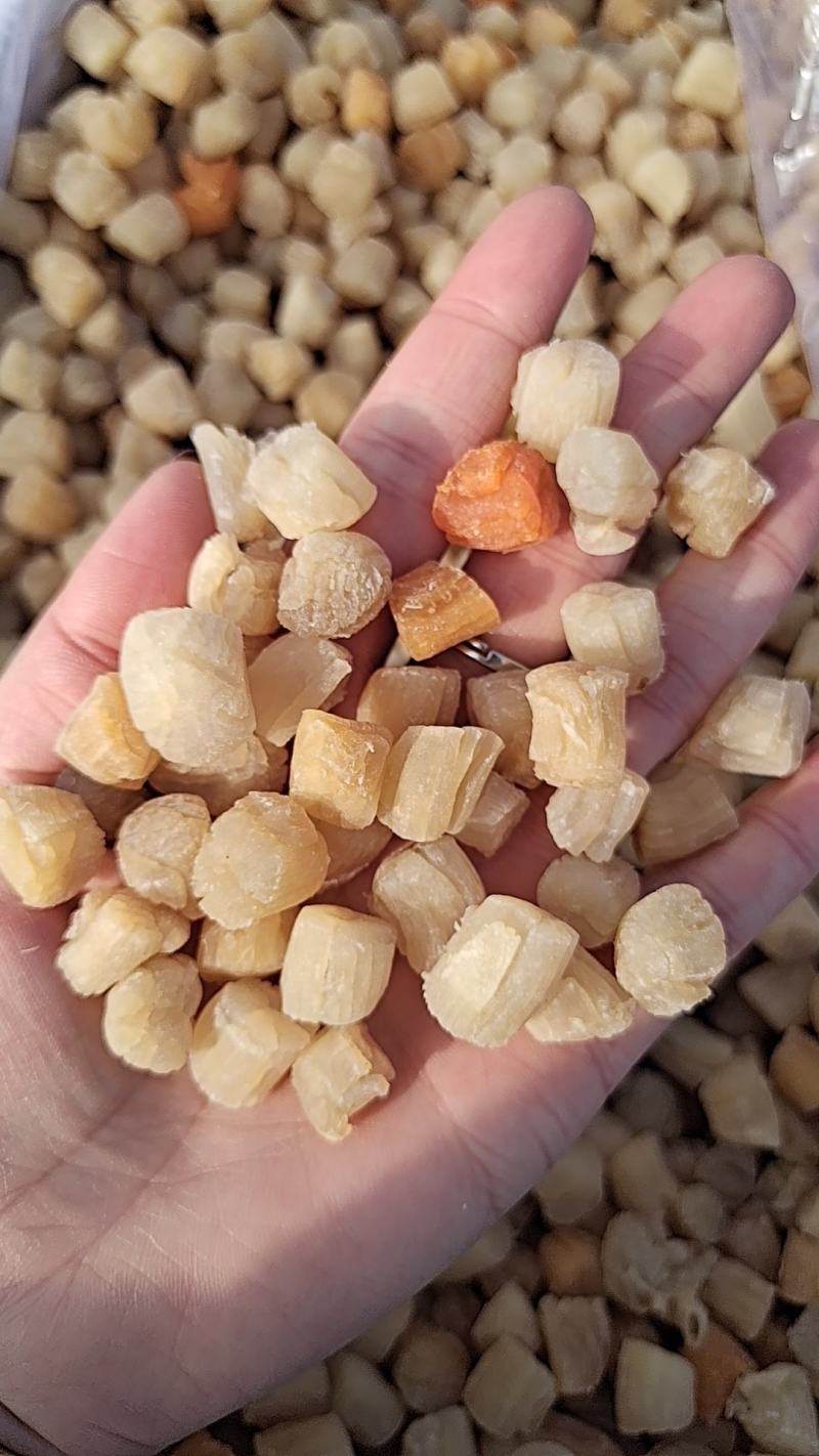 干贝，淡干，盐干，都有现货！大量现货批发，薄利多销