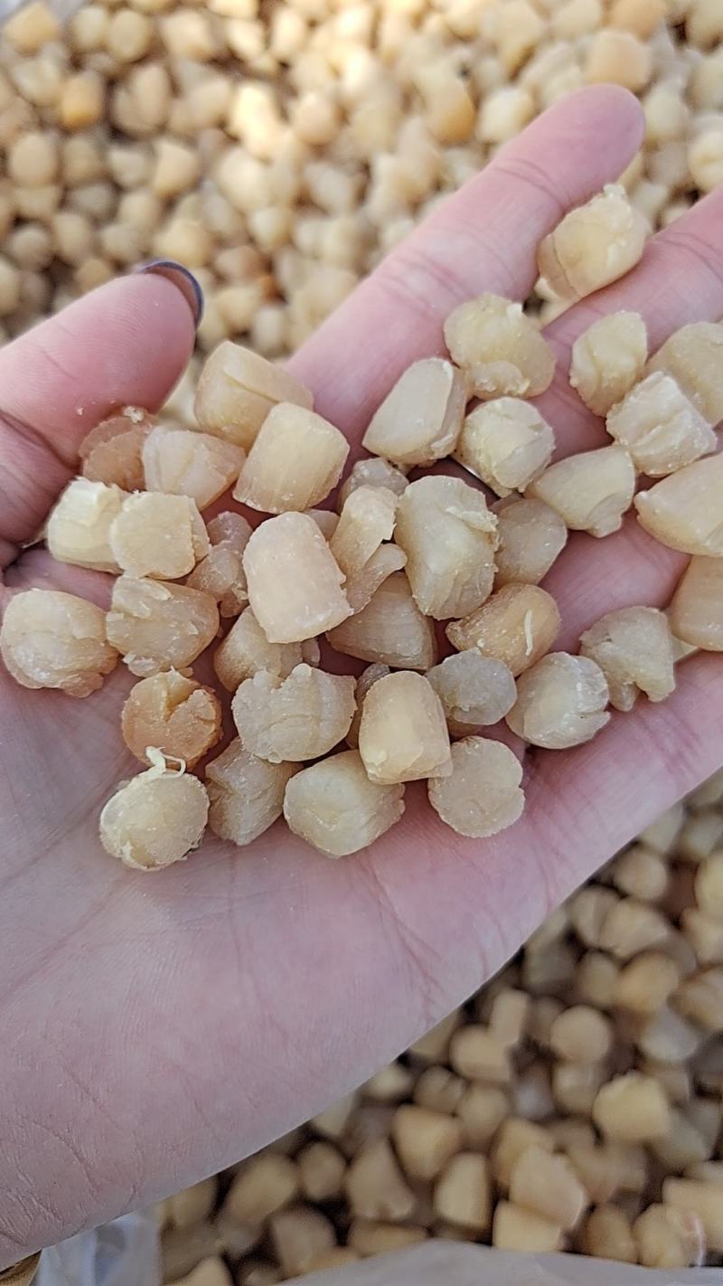 干贝，淡干，盐干，都有现货！大量现货批发，薄利多销