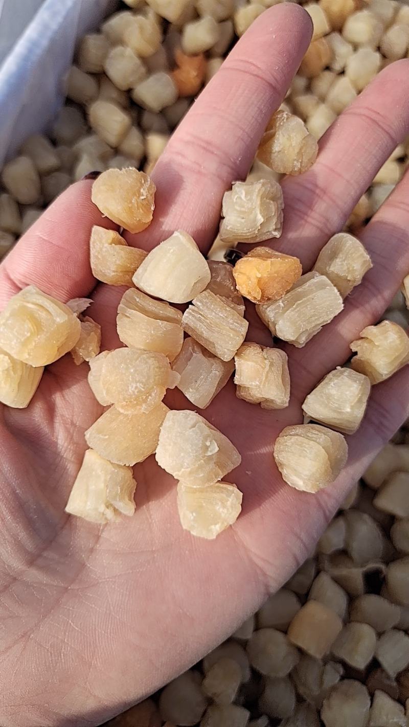 干贝，淡干，盐干，都有现货！大量现货批发，薄利多销