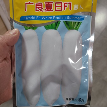 50克广良夏日抗热萝卜种子，快大，高产，生长快抗病。