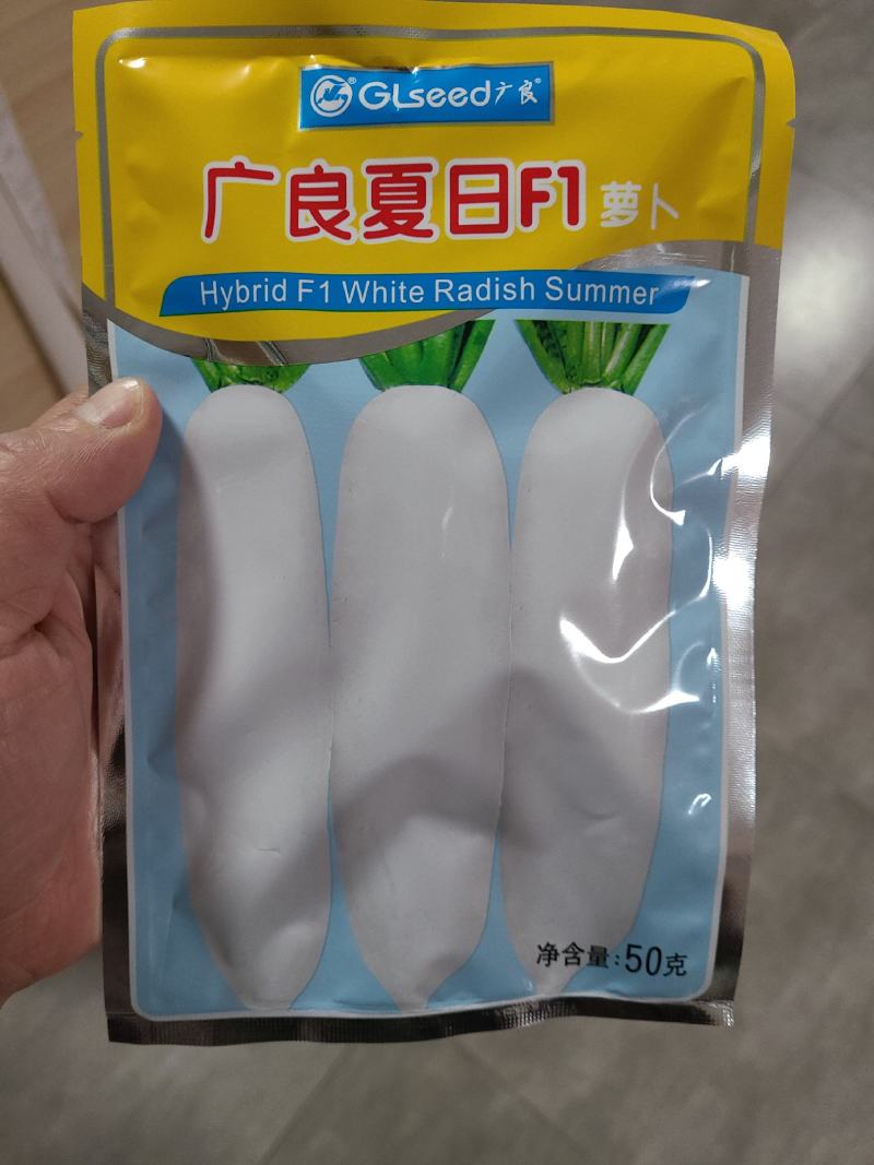 50克广良夏日抗热萝卜种子，快大，高产，生长快抗病。