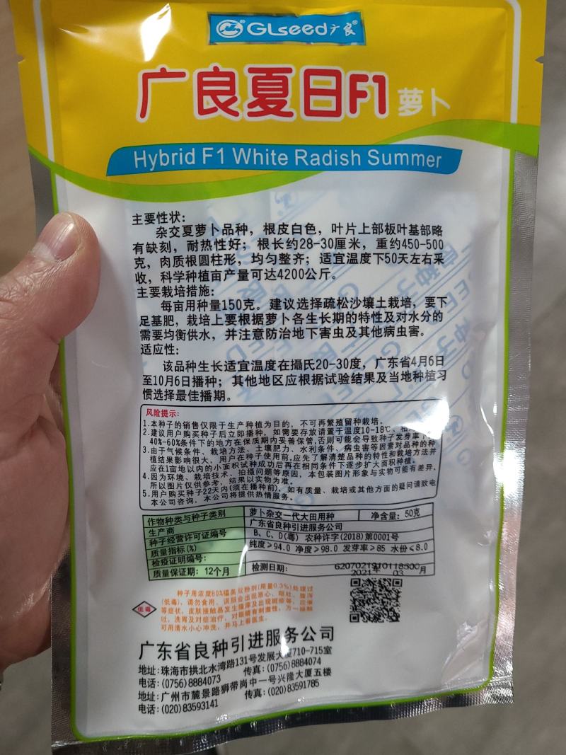50克广良夏日抗热萝卜种子，快大，高产，生长快抗病。