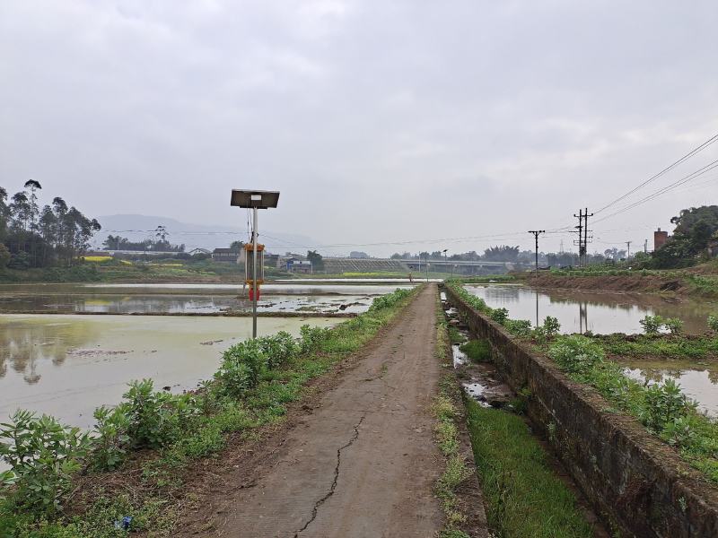 700亩水田出租，交通方便