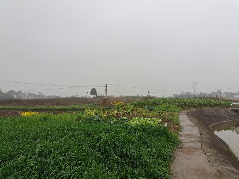 土地出租，交通方便水源好
