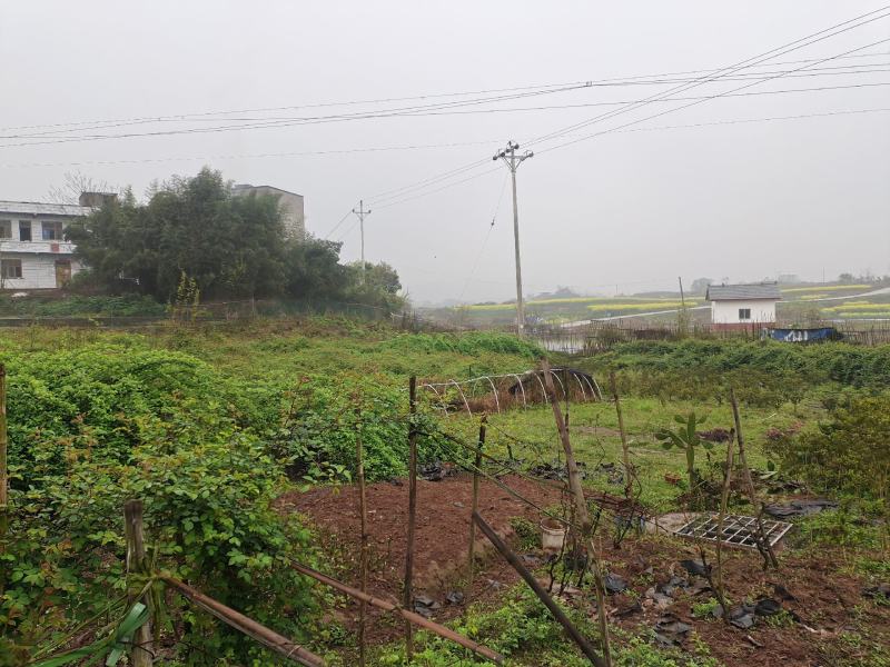 土地出租，交通方便水源好