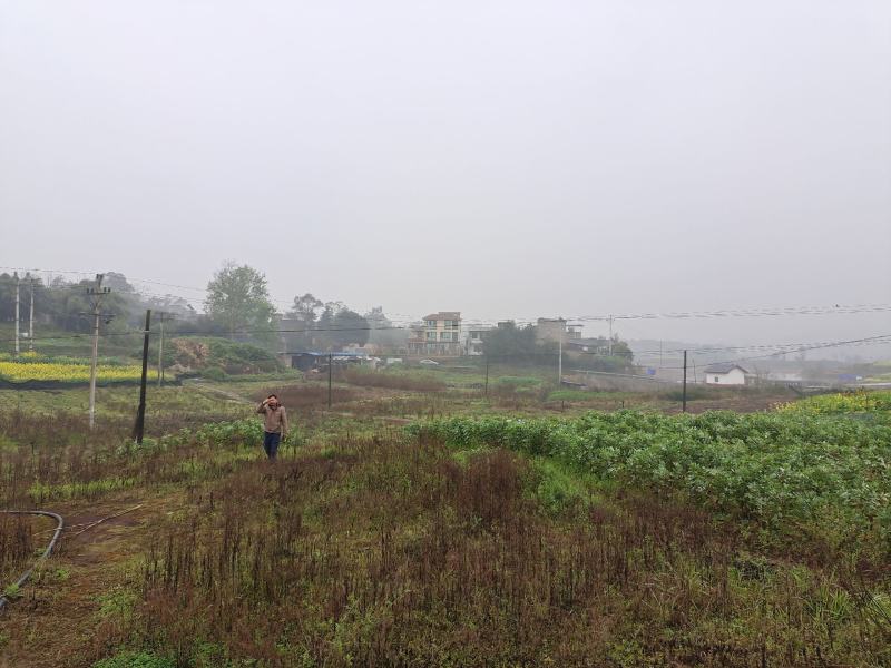 土地出租，交通方便水源好