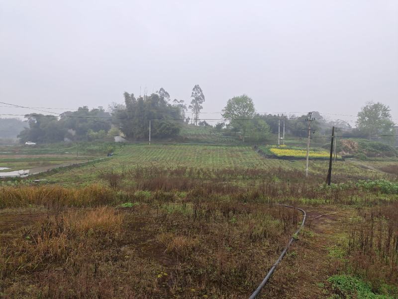土地出租，交通方便水源好