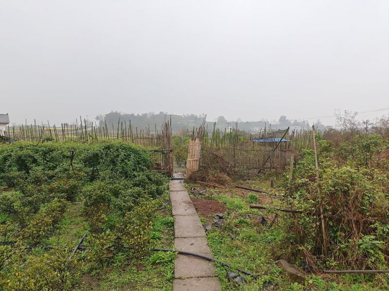 土地出租，交通方便水源好