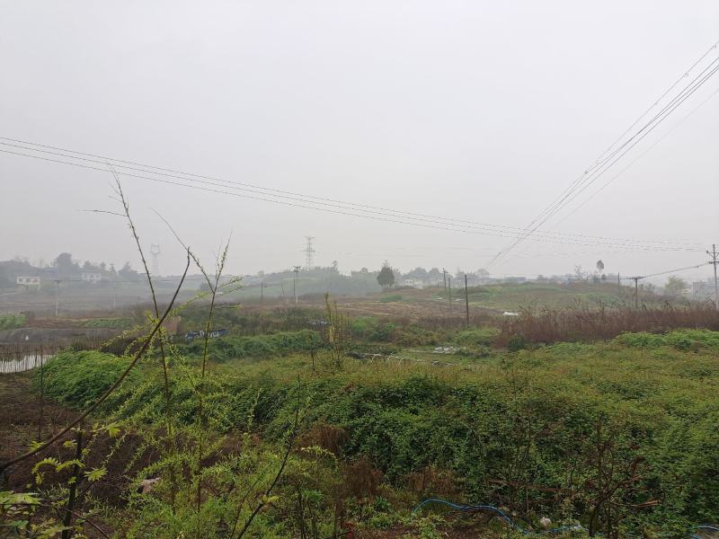 土地出租，交通方便水源好