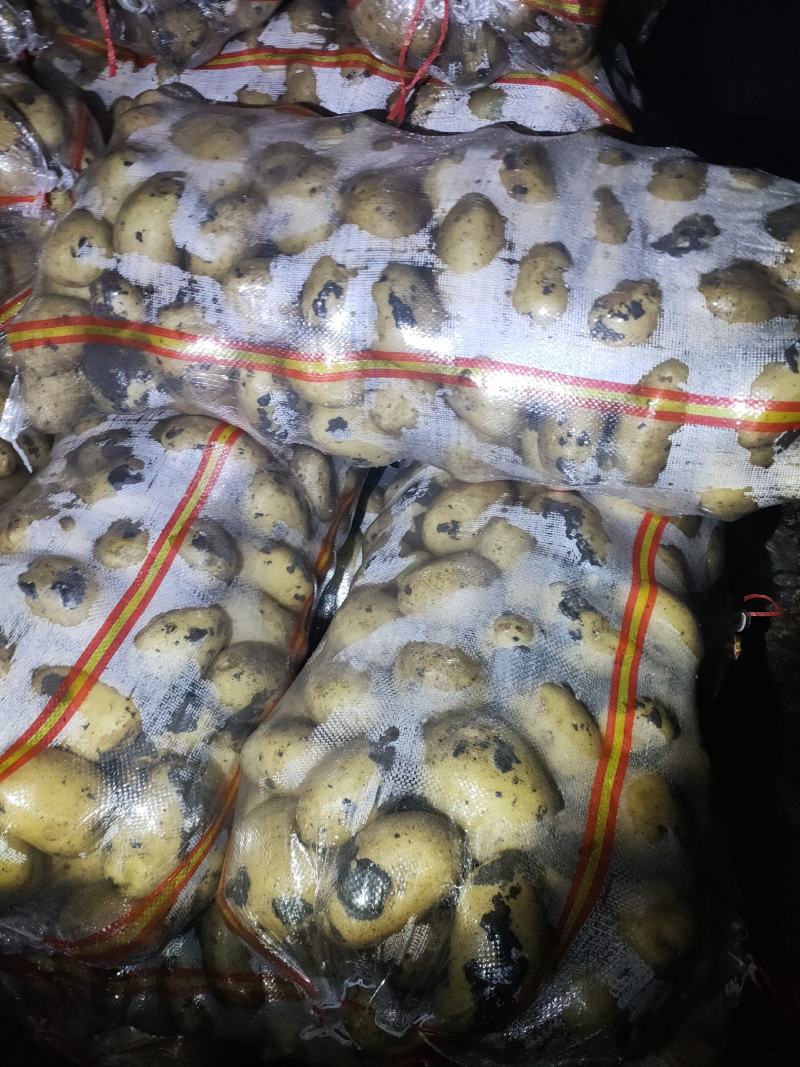 土豆干洗反包，西森，保质保量，随时下单，图片视频真实有效