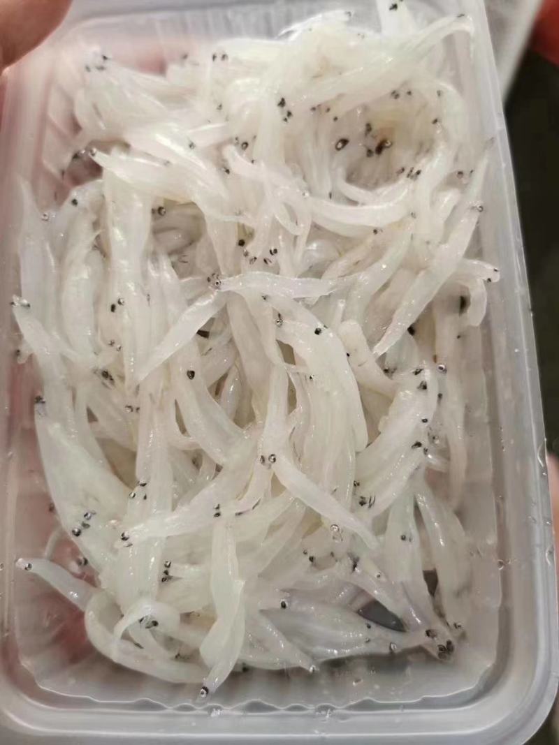 补钙行家银鱼“银鱼虽小，五脏俱全”，银鱼富钙质、高蛋白