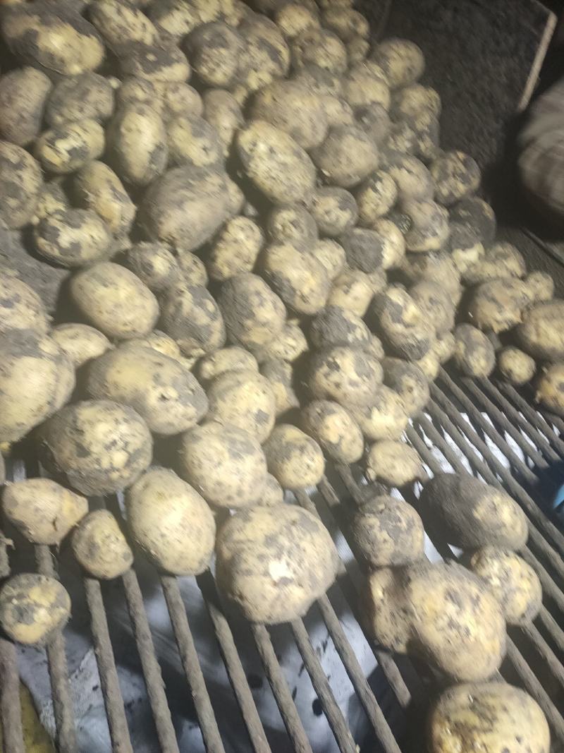 图片视频真是有效，就是黑，好吃，不会生，