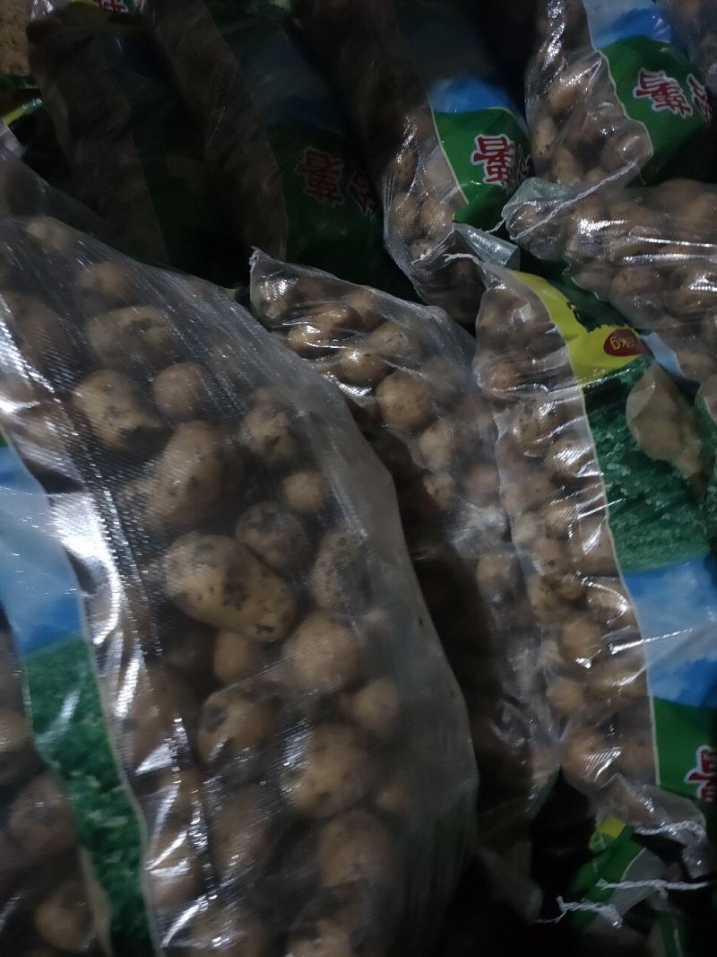 小薯123两，种类齐全，黄皮黄心，可以干洗,尤金，兴佳…