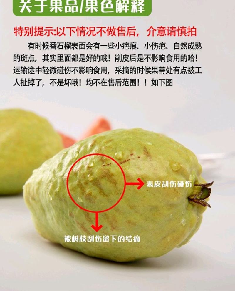 芭乐番石榴专供电商一件代发