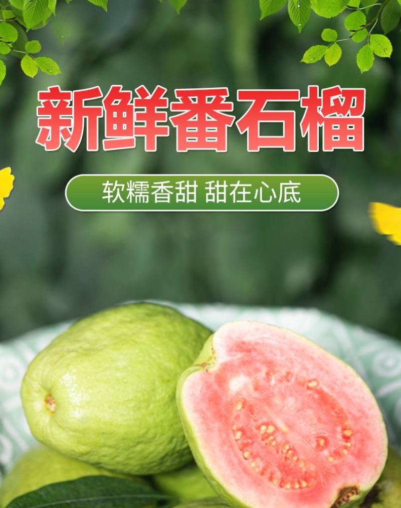 芭乐番石榴专供电商一件代发
