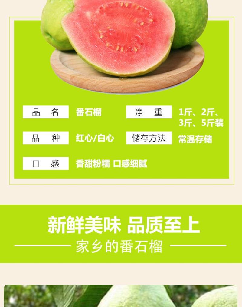 芭乐番石榴专供电商一件代发