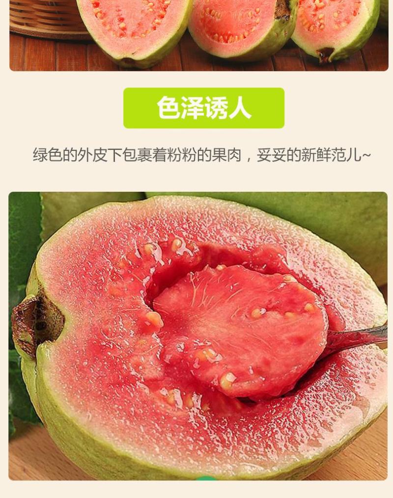 芭乐番石榴专供电商一件代发