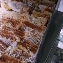蜂巢蜜，江湖地摊赶集展销会超市货源，量大从优