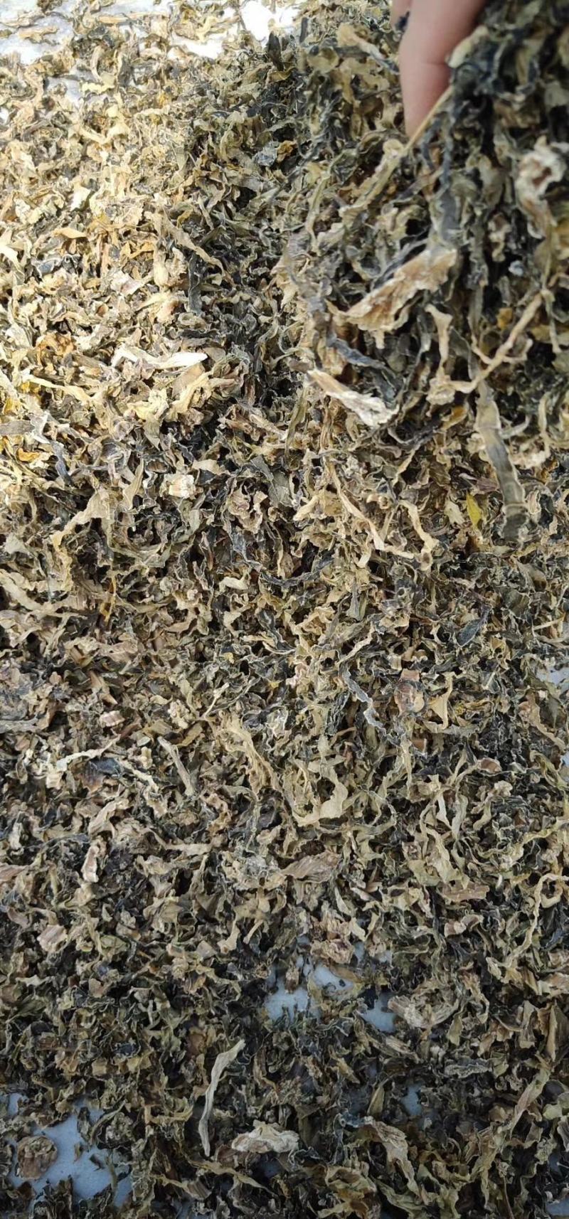 自家晒的干净无沙梅菜干，蒸过/无蒸过，批发量大价优