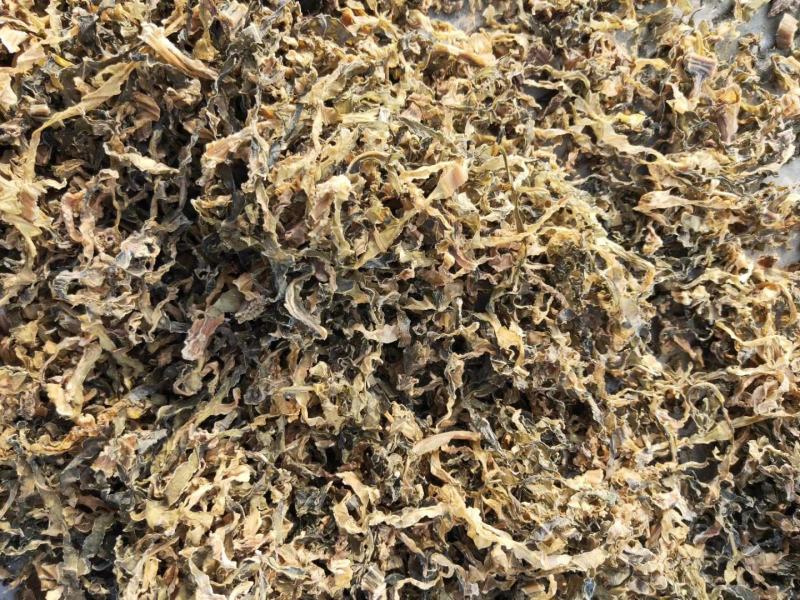 自家晒的干净无沙梅菜干，蒸过/无蒸过，批发量大价优