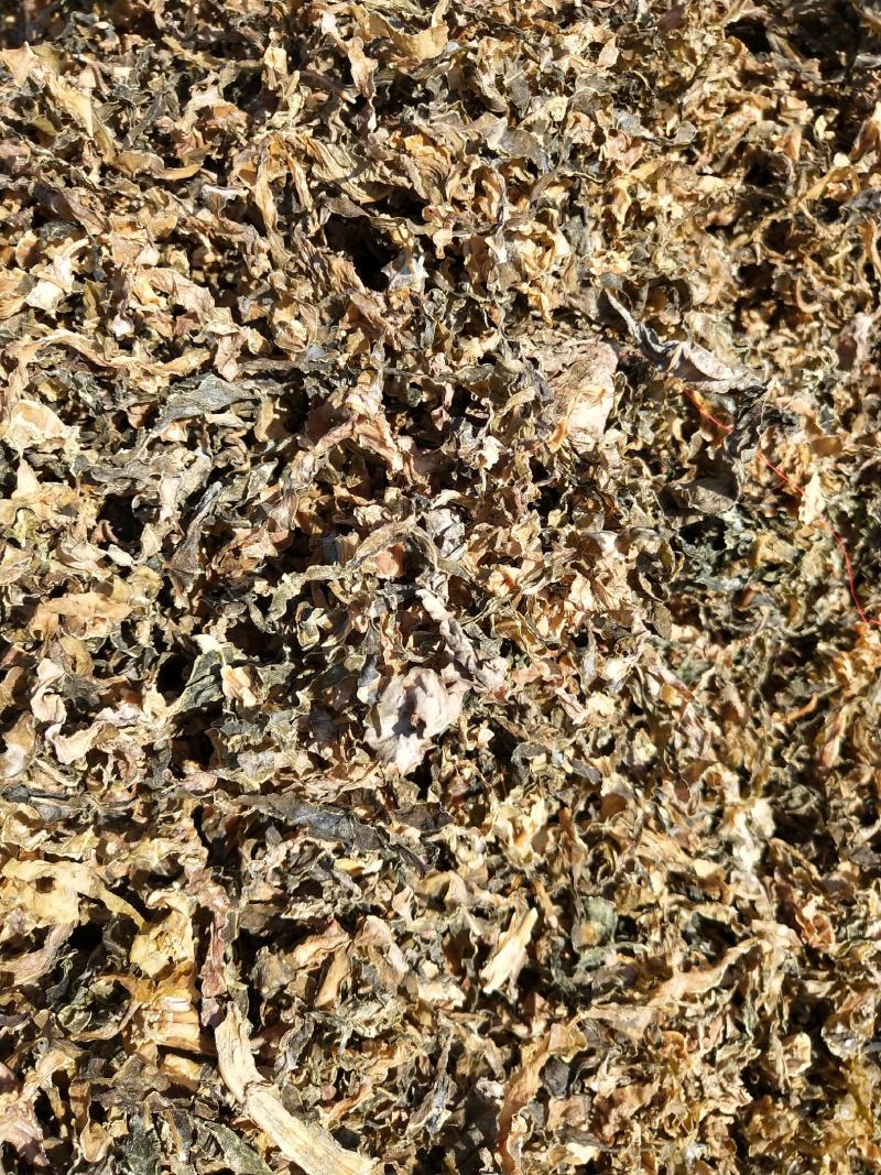 自家晒的干净无沙梅菜干，蒸过/无蒸过，批发量大价优