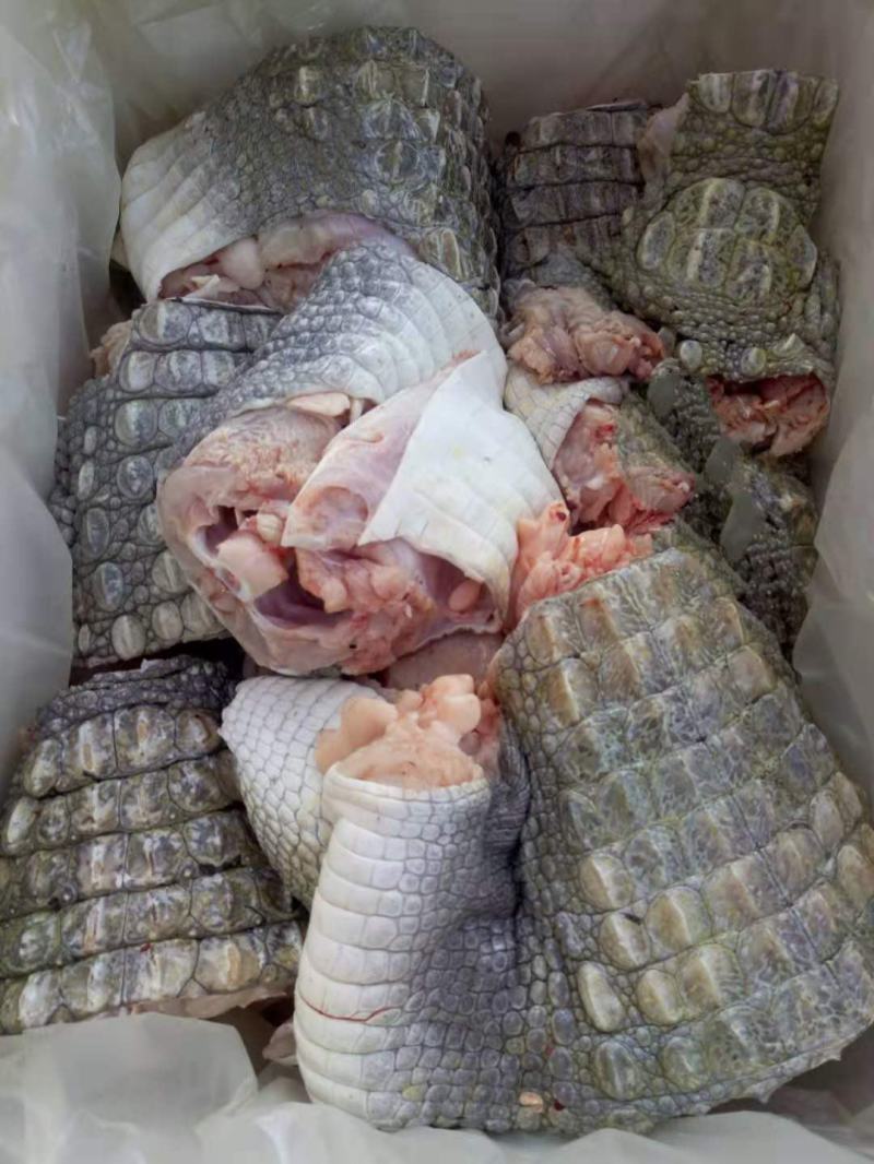 有皮去鳞鳄鱼肉质优价廉每袋都有经营利用标识贴合法销售