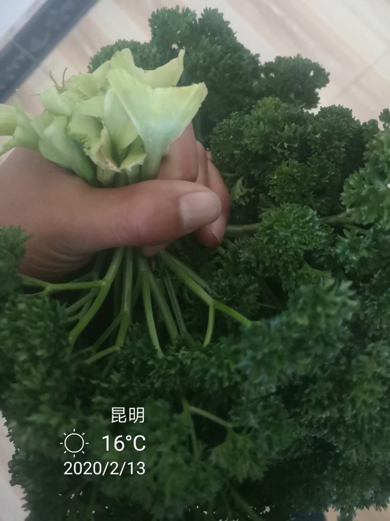 法香，基地直供，没有中间商。