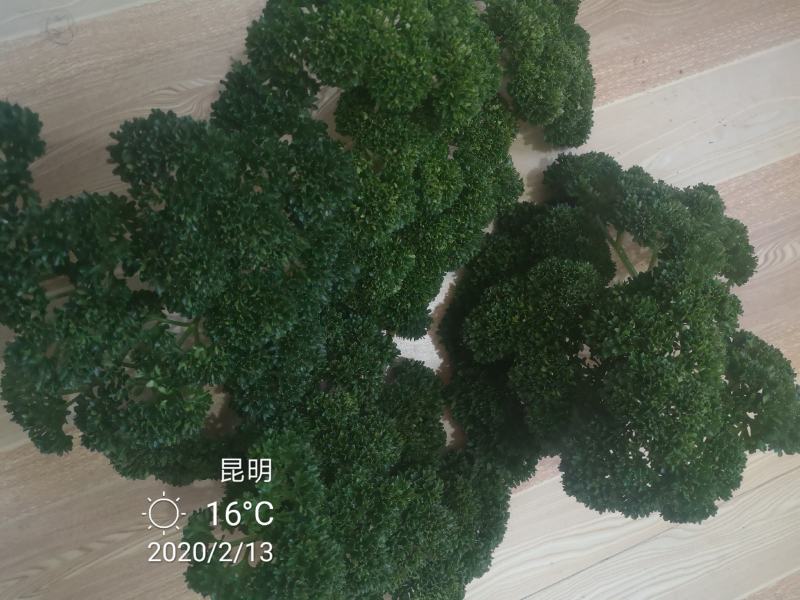 法香，基地直供，没有中间商。