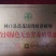 草甸大笨鹅，山林溜达鸡
