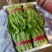 油麦菜河北邯郸油麦菜大量上市诚信经营,
