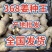 山东优质高产姜种，基地直发，抗病，提供技术指导，全国发货