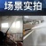 220伏插电式喷粉机电动喷粉器养殖场消毒机手持式打药机