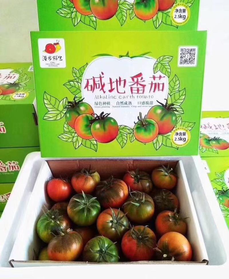 自有基地39个日光温室，口感统一，产量保证，碱地番茄